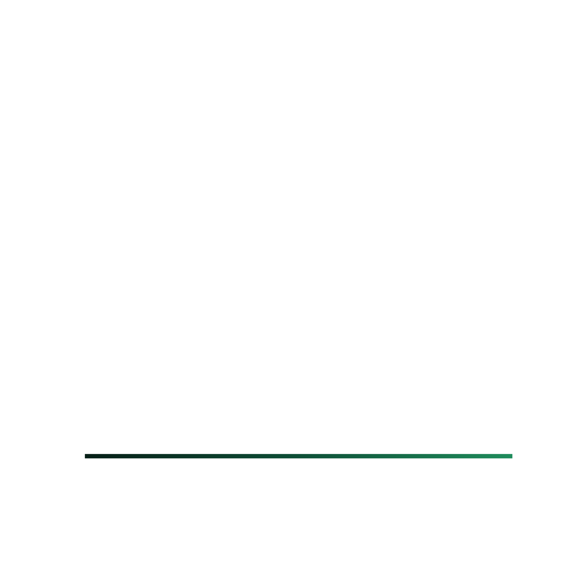 AURON – Selbstführung mit System